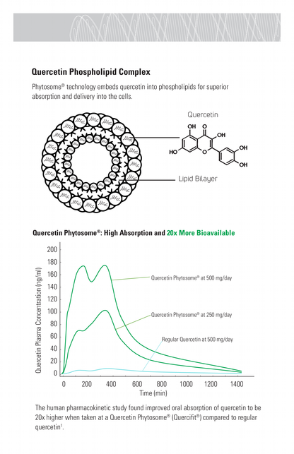 Quercetin and Zinc Bundle