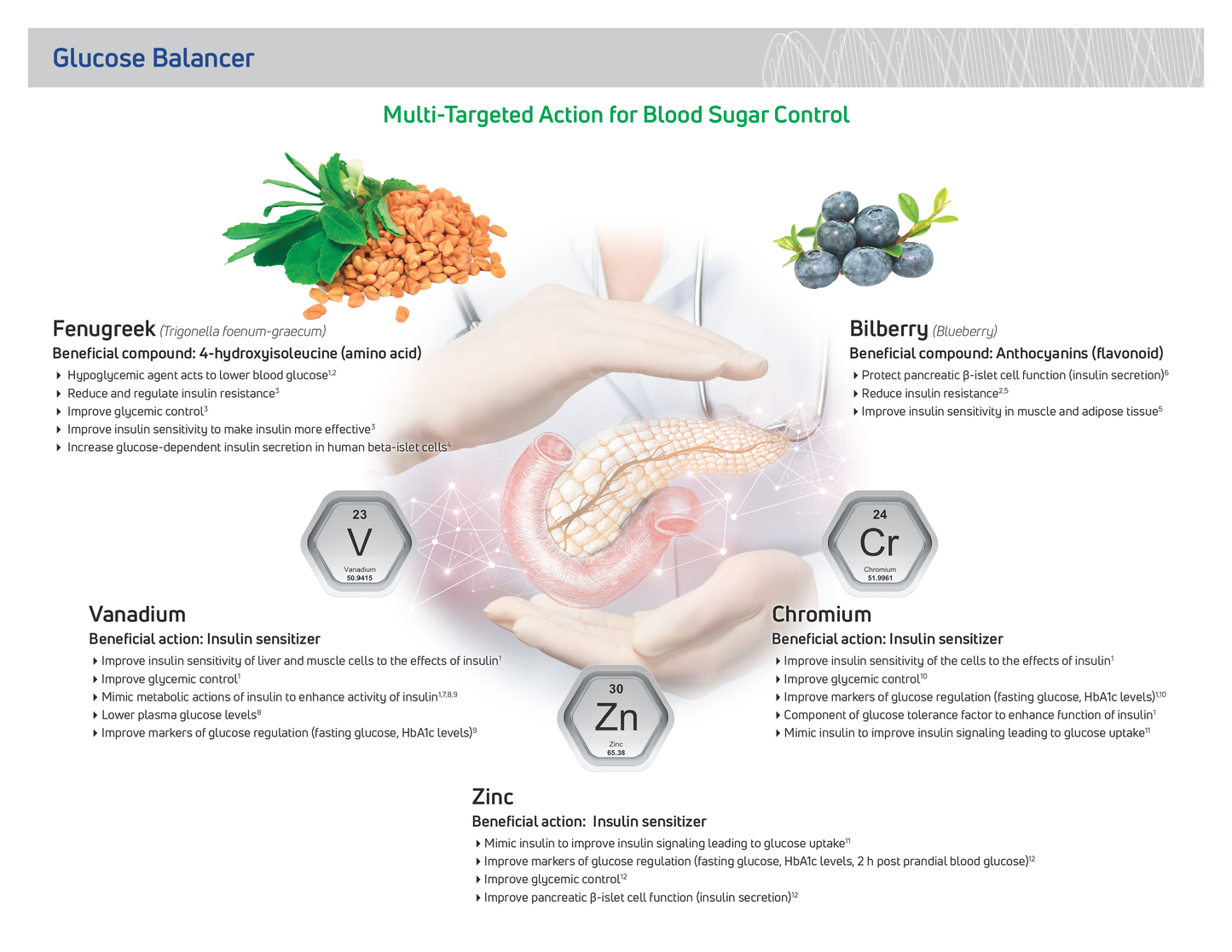 Glucose Balancer