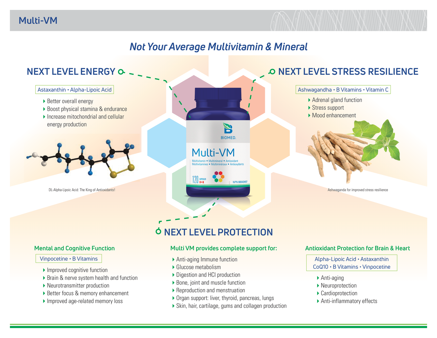 Multi-VM Essential Daily Vitamins with Antioxidants